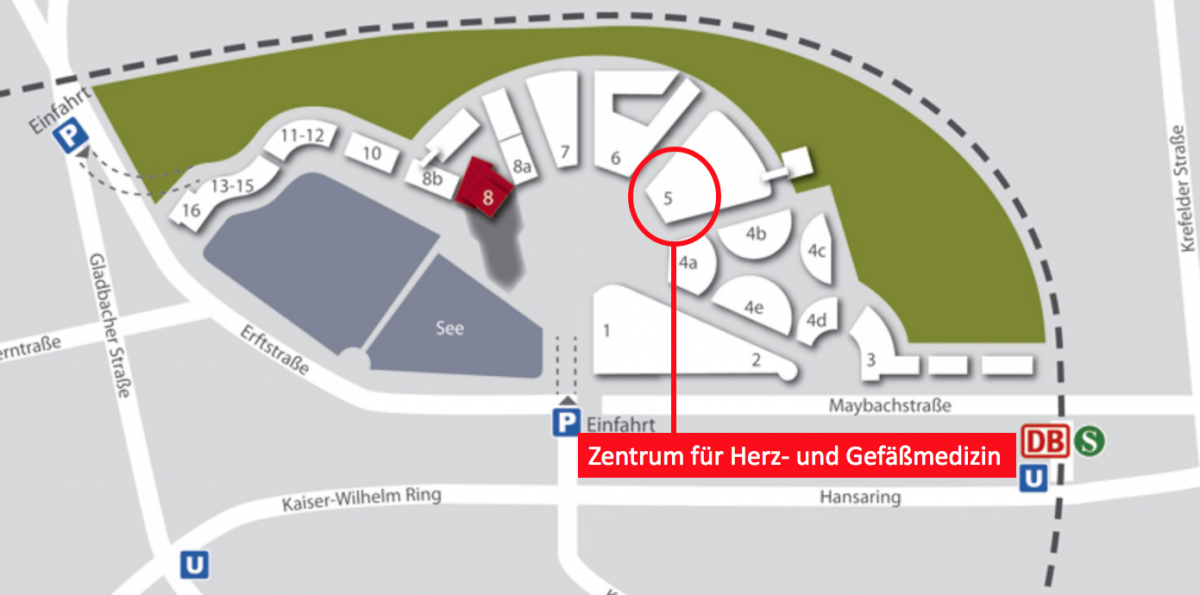 Zentrum Für Herz Und Gefäßmedizin Mediapark Köln herz-gefaesse-koeln.de